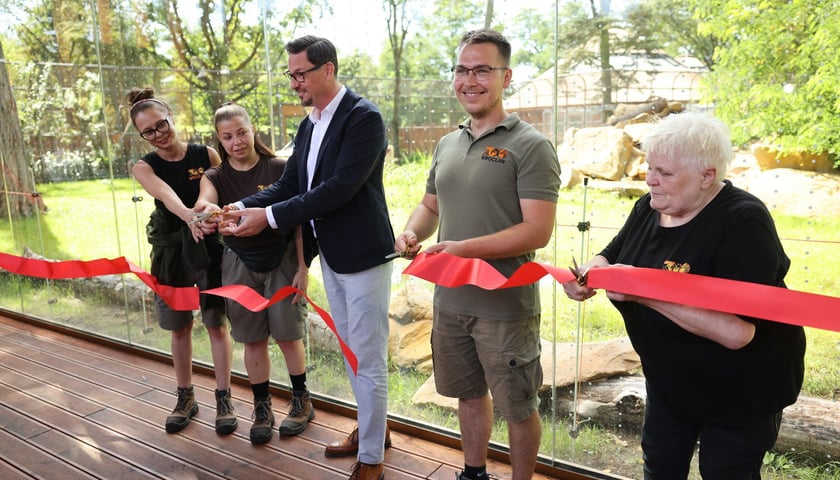 Uroczyste otwarcie nowej Lwiarni we wrocławskim zoo: wstęgę przecinają młode pracownice wydziału zwierząt drapieżnych,  Sergiusz Kmiecik, który od niedawna pełni obowiązki prezesa wrocławskiego zoo, Paweł Sroka, kierownik wydziału  Zwierząt Drapieżnych i pani Ela, która przepracowała we wrocławskim zoo 50 lat.