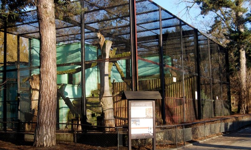 Afrykarium we Wrocławiu kończy w tym roku 10 lat. Oto zdjęcia z budowy