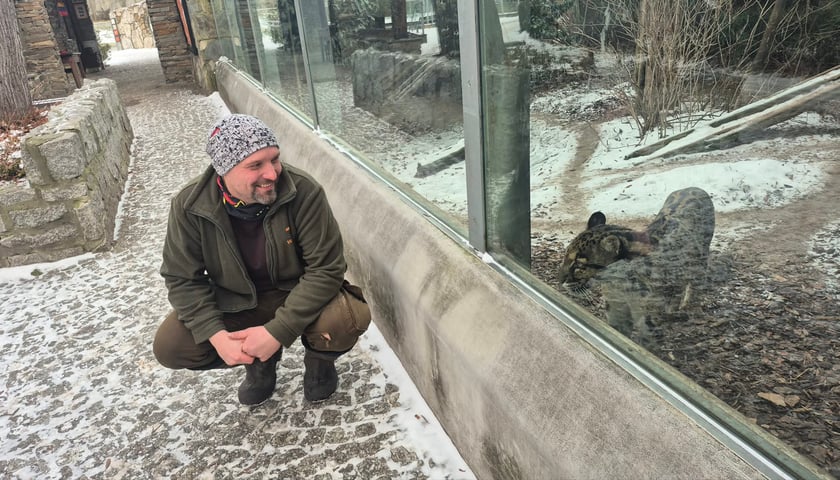 Kamil Guzik i pantera mglista Chen
