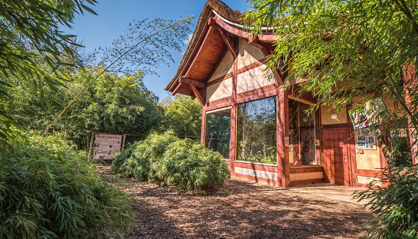<p>Pagoda Gibon&oacute;w we wrocławskim zoo</p>