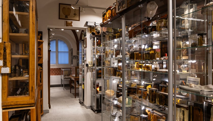 Noc Muzeów w Muzeum Medycyny Sądowej