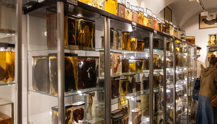 Noc Muzeów w Muzeum Medycyny Sądowej