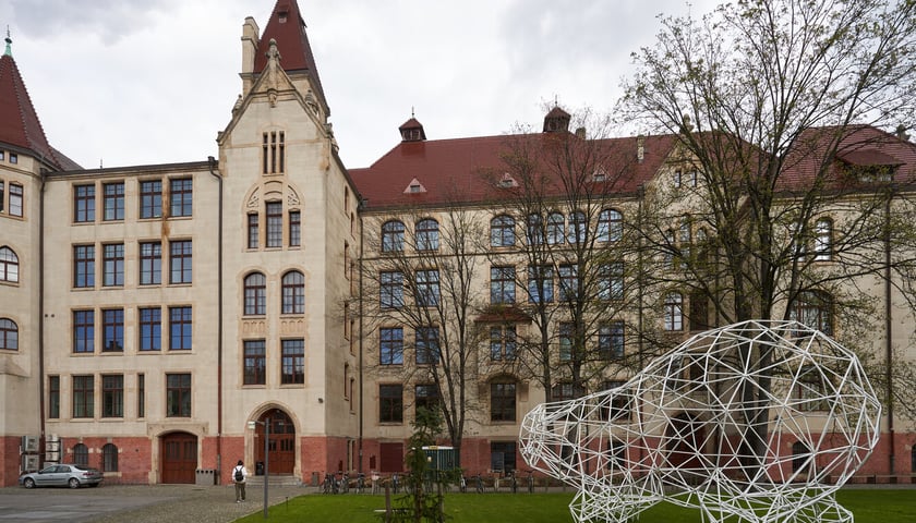 Powiększ obraz: <p>Instalacja z plastikowych rurek, kt&oacute;ra przypomina figurę niedźwiedzia. Z tyłu budynek Wydziału Architektury na Politechnice Wrocławskiej przy ul. Prusa&nbsp;</p>