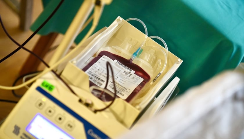 Jesienna Wampiriada na Uniwersytecie Ekonomicznym we Wrocławiu, 19-20 listopada 2024