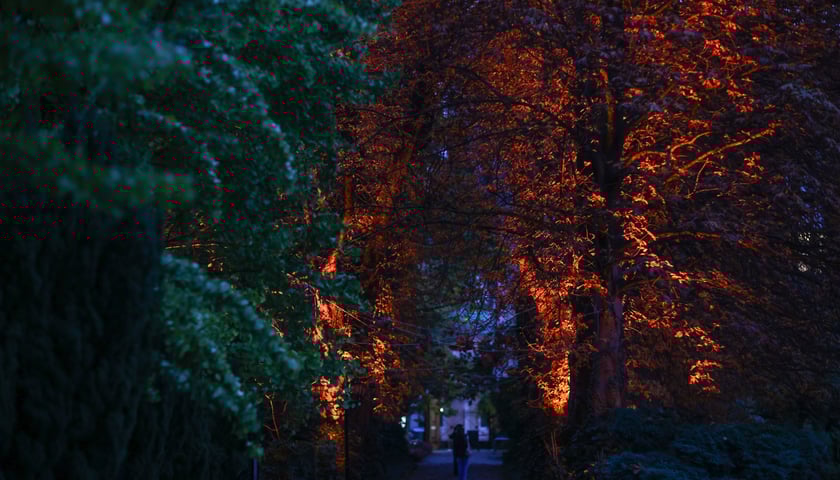 Powiększ obraz: Uczestnicy Erasmus Welcome Day