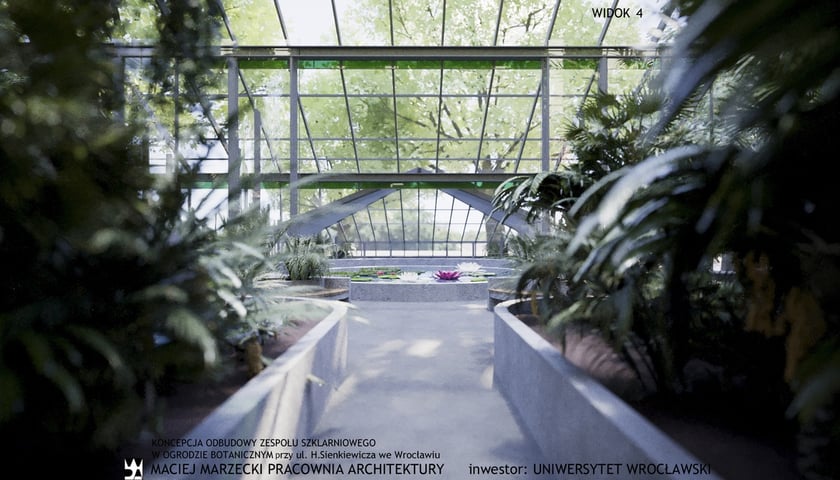 Palmiarnia w Ogrodzie Botanicznym we Wrocławiu. Wizalizacje