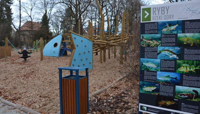 Plac zabaw w parku Biskupińskim po przebudowie, grudzień 2023. Na zdjęciu widać huśtawkę typu "bocianie gniazdo", urządzenie zabawowe w kształcie dużej drewnianej ryby, kosz na śmieci, tablicę edukacyjną poświęconą rybom żyjącym w Odrze.