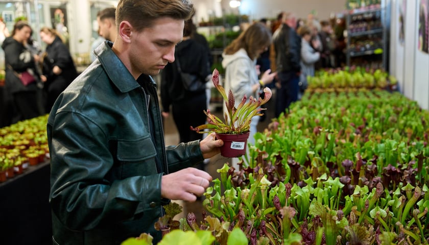 <p>Fantastyczny World Flower Show &ndash; Światowa Wystawa Roślin na Tarczyński Arena 11 i 12 kwietnia</p>