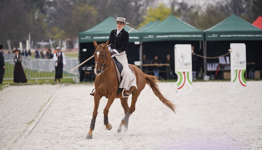 Otwarcie sezonu 2026 na Partynicach w niedzielę 12 kwietnia