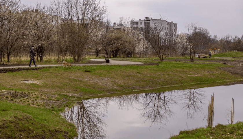 Park Krzycki we Wrocławiu