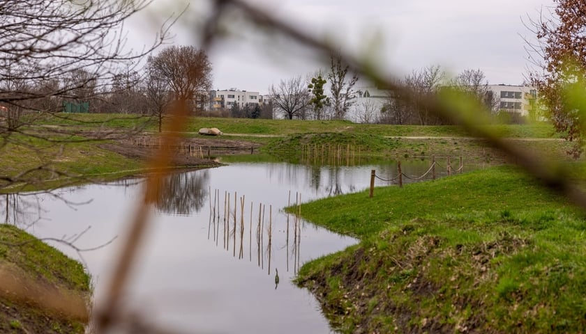 <p>Park Krzycki we Wrocławiu</p>