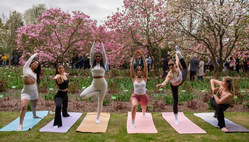 Festiwal Magnolii w Ogrodzie Botanicznym - 19.04.2026 r. Na zdjęciu zajęcia z jogi