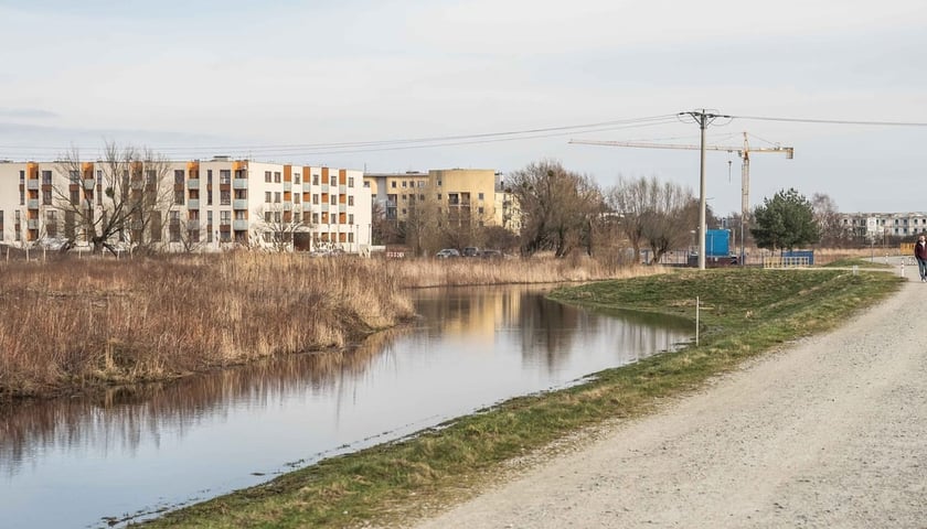 Widawa, zdjęcie ilustracyjne