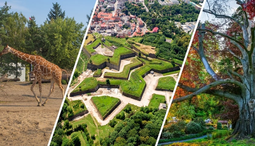 Atrakcje we Wrocławiu i na Dolnym Śląsku: Zoo Wrocław, Twierdza Kłodzko, Arboretum Wojsławice
