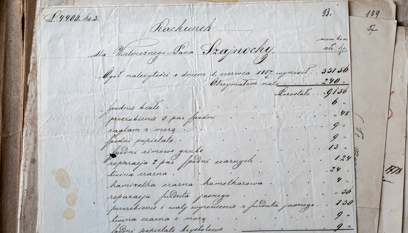 Rękopisy Karola Szajnochy ze zbior&oacute;w Ossolineum