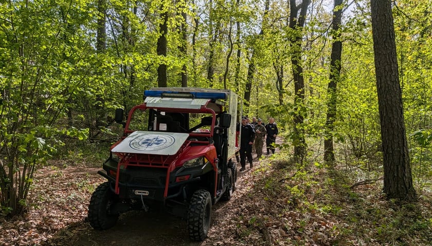 Ćwiczenia służb ratowniczych w masywie Ślęży. 25.04.2026