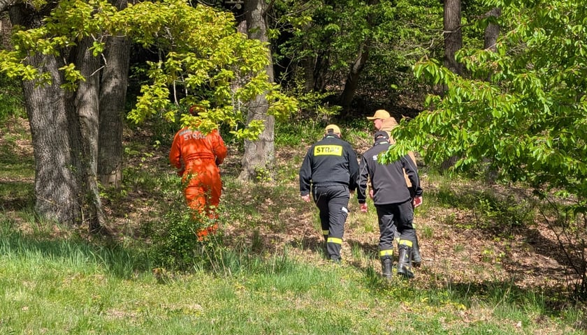 Ćwiczenia służb ratowniczych w masywie Ślęży. 25.04.2026