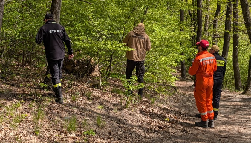 Ćwiczenia służb ratowniczych w masywie Ślęży. 25.04.2026