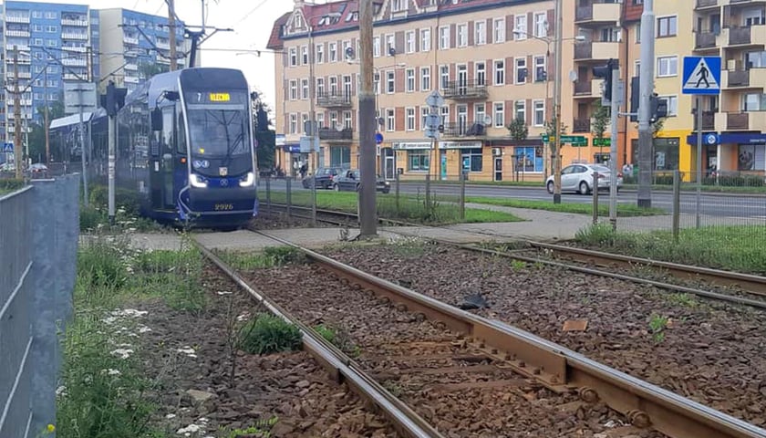 Jest umowa na remont torowiska przy Żmigrodzkiej – będzie zielono