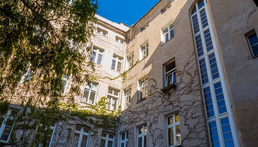 <p>Elewacja podw&oacute;rzowa kamienicy jest porośnięta pnączami</p>