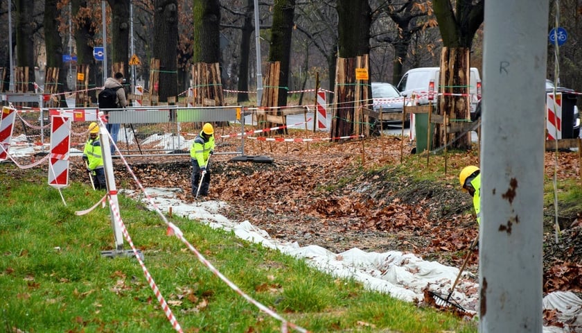 Wkrótce koniec remontu torowiska na Biskupinie