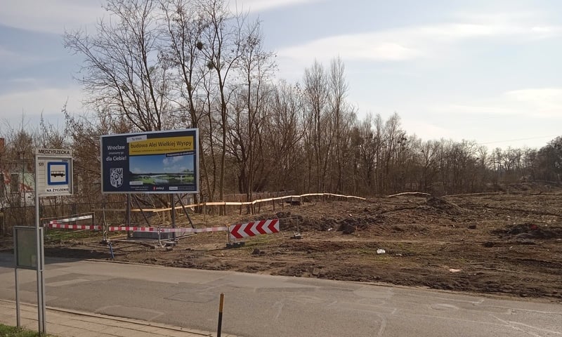 Latem początek budowy mostów na Alei Wielkiej Wyspy