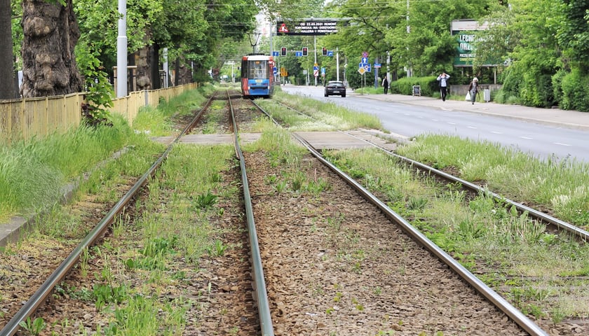 Zielone torowisko w ciągu al. Hallera będzie dłuższe