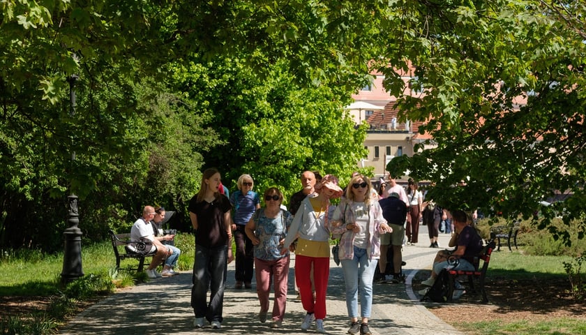 Wrocławianie i turyści podczas majówkowego spaceru
