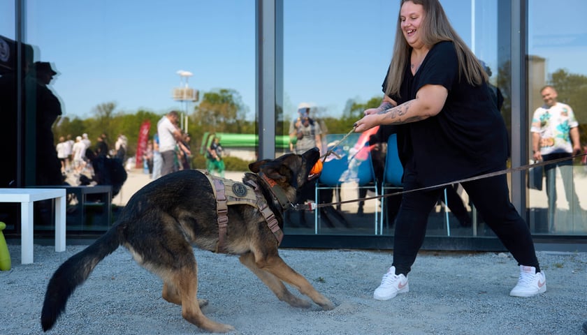 Majówka przy Fontannie, 2 maja 2026