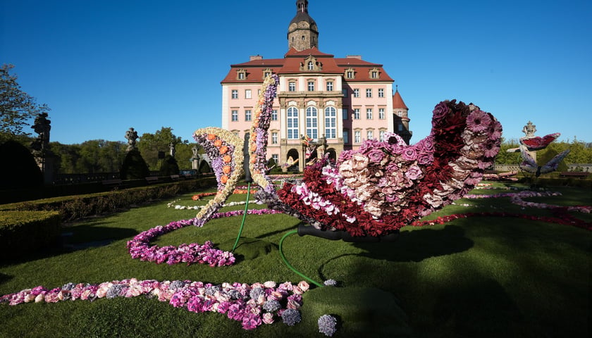 Tauron Festiwal Kwiat&oacute;w i Sztuki na Zamku Książ (30.04-3.05.2026)&nbsp;