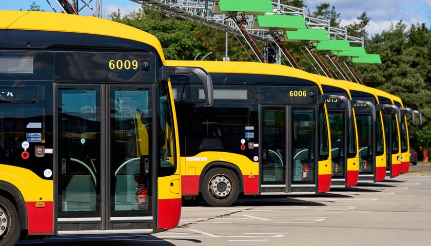 Autobusy miejskie we Wrocławiu. Na zdjęciu autobusy stojące w rzędzie na placu