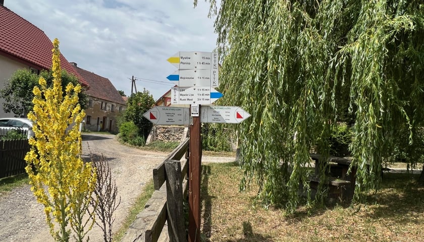Radzimowice