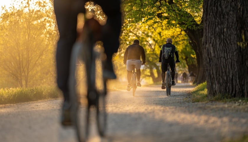 rowerzyści we Wrocławiu, zdjęcie ilustracyjne