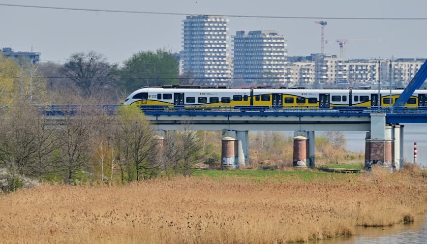 Pociąg Kolei Dolnośląskich przejeżdża nad Odrą między  przystankami Wrocław Popowice a Wrocław Różanka 