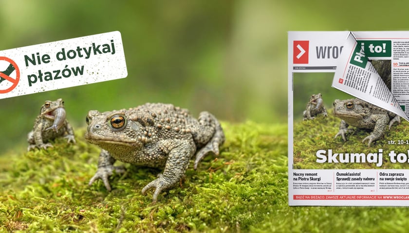 Dwie żaby i napis: Nie dotykaj płazów. Skumaj to!