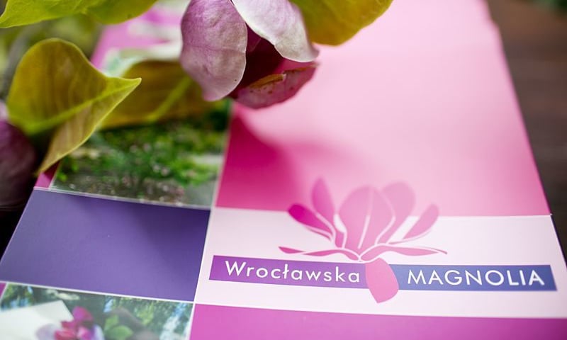 Wrocławska Magnolia