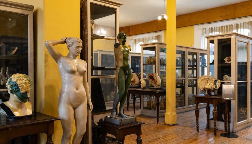 Noc Muzeów w Muzeum Anatomii Uniwersytetu Medycznego we Wrocławiu