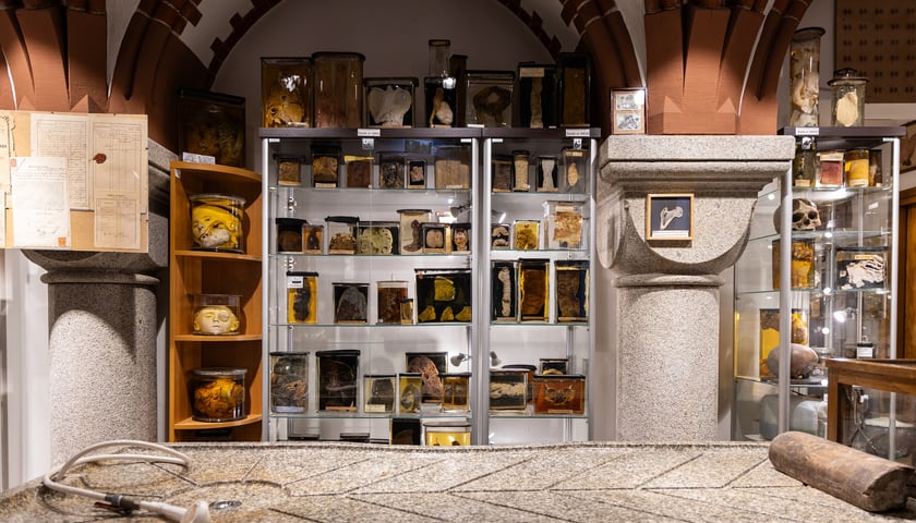 Noc Muzeów w Muzeum Medycyny Sądowej