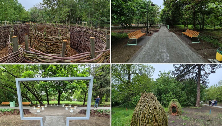<p>Realizacja projektu Park Młodego Ekologa przy Al. Kasprowicza 27-29</p>
