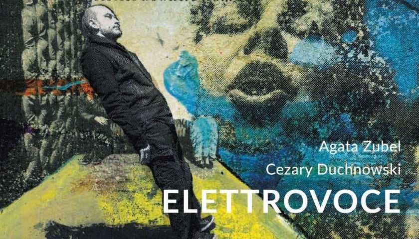 Płyty Elettrovoce [ZAKOŃCZONY]