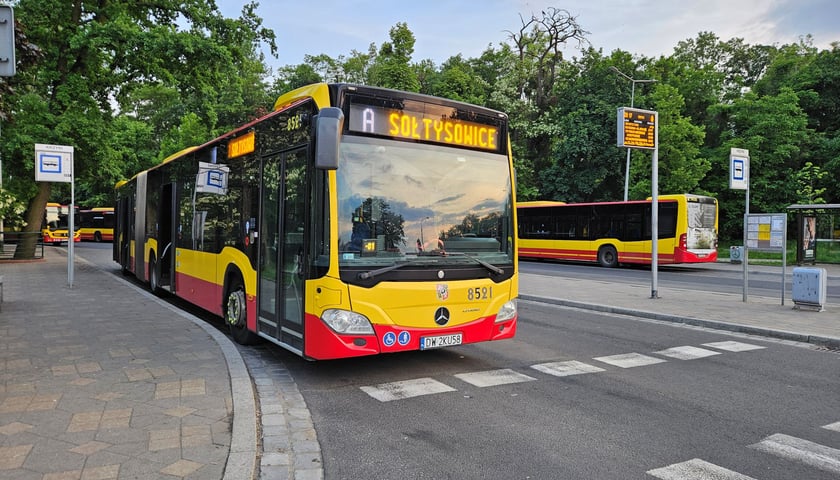 Zdjęcie ilustracyjne: autobusy stojące na pętli Krzyki.