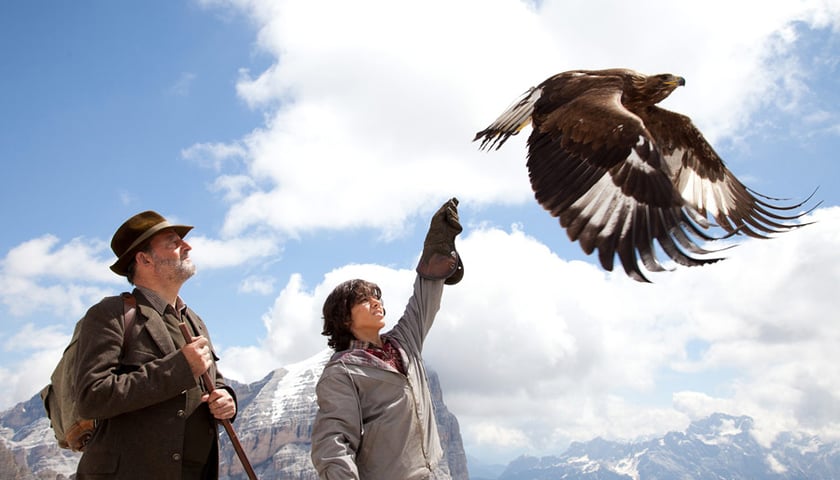 „Mój przyjaciel orzeł" w DCF-ie [ZAKOŃCZONY]