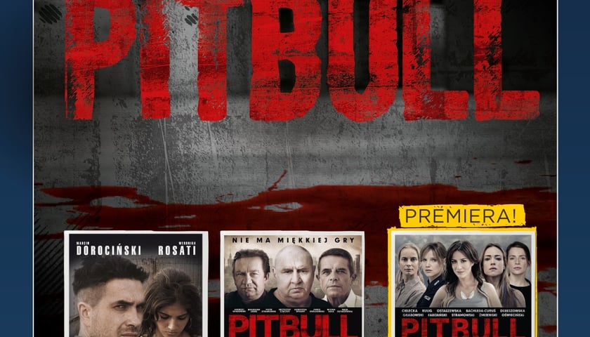 Zaproszenia na Maraton „Pitbulla” w Kinach Helios [ZAKOŃCZONY]