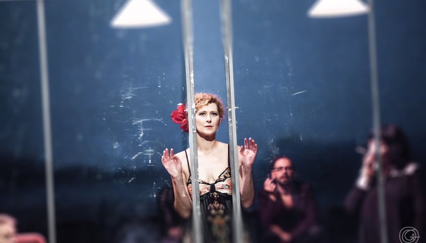 Olimpiada Teatralna: Wycinka [ZAKOŃCZONY]