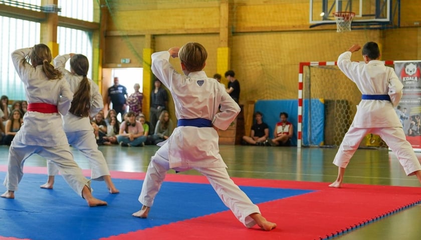 Pokaz karate
