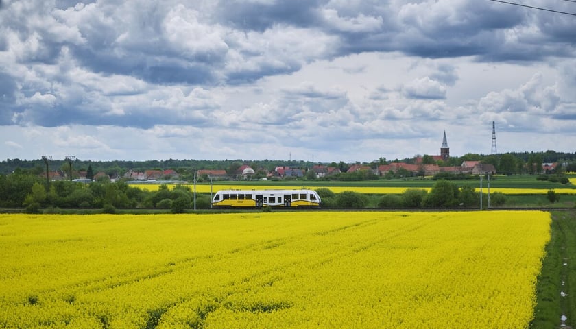 Pociąg Kolei Dolnośląskich na trasie