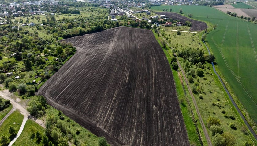 Teren rolny przy ulicy Polnej na Brochowie, o który powiększony ma zostać Park Brochowski, widok z drona. 