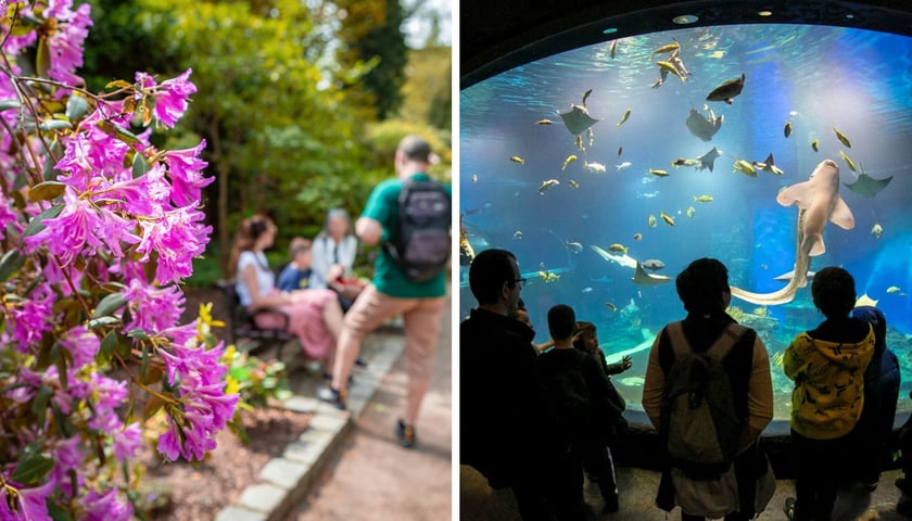 Ogród Botaniczny, Afrykarium w ZOO Wrocław