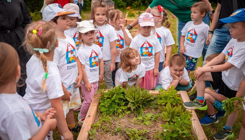 Farma Miejska Wrocław. Otwarcie strefy edukacyjnej na Farmie Miejskiej Wrocław. Przedszkolaki z Przedszkola nr 71 Chatka Małego Skrzatka, grupa Marzyciele.