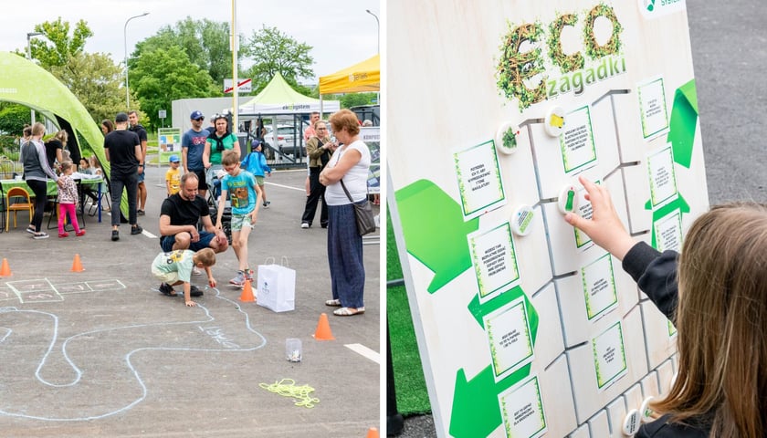 Uczestnicy podczas ekologicznego pikniku organizowanego przez Ekosystem w 2025 r.